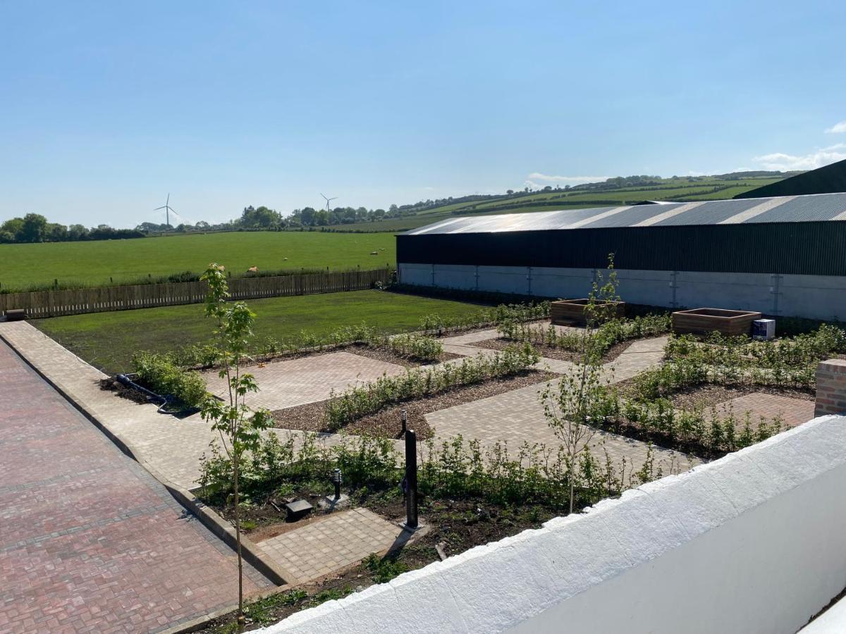 Ballymullock Barn Lofts Carncastle Экстерьер фото